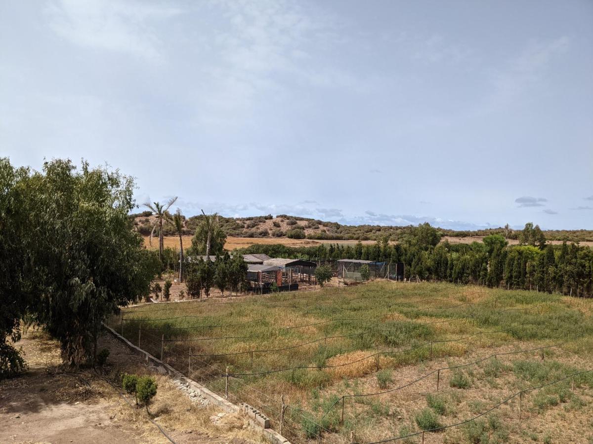Mesdunes أزمور المظهر الخارجي الصورة