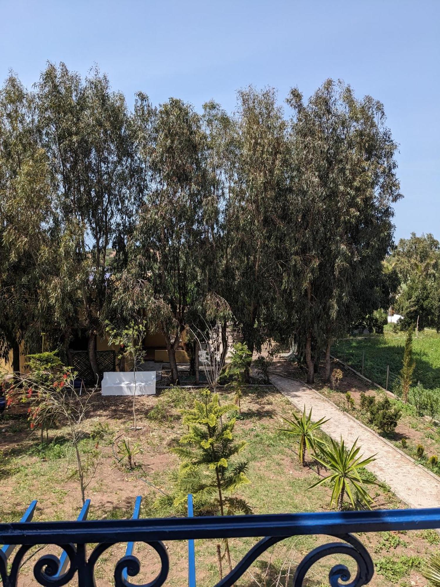 Mesdunes أزمور المظهر الخارجي الصورة