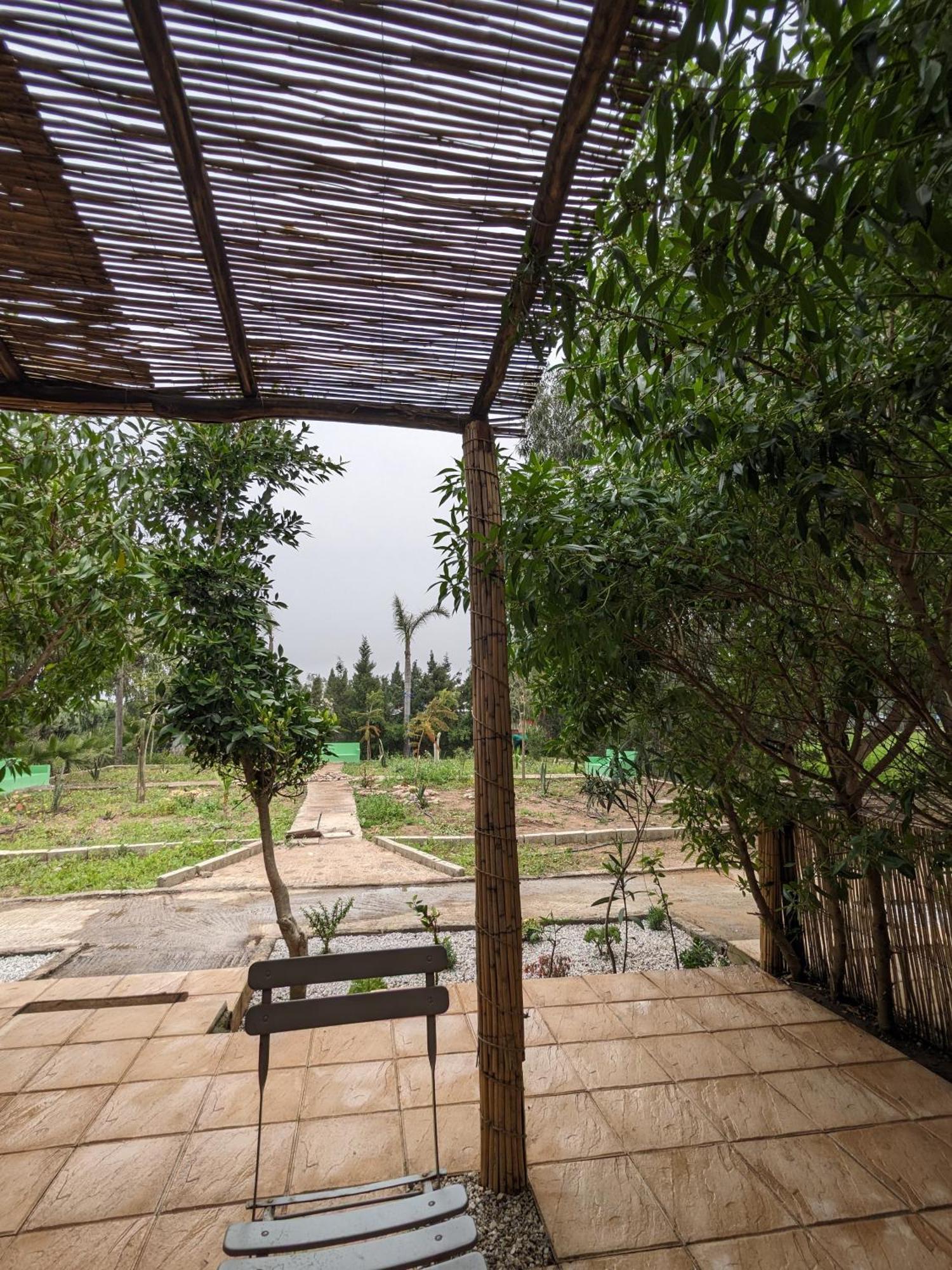 Mesdunes أزمور المظهر الخارجي الصورة