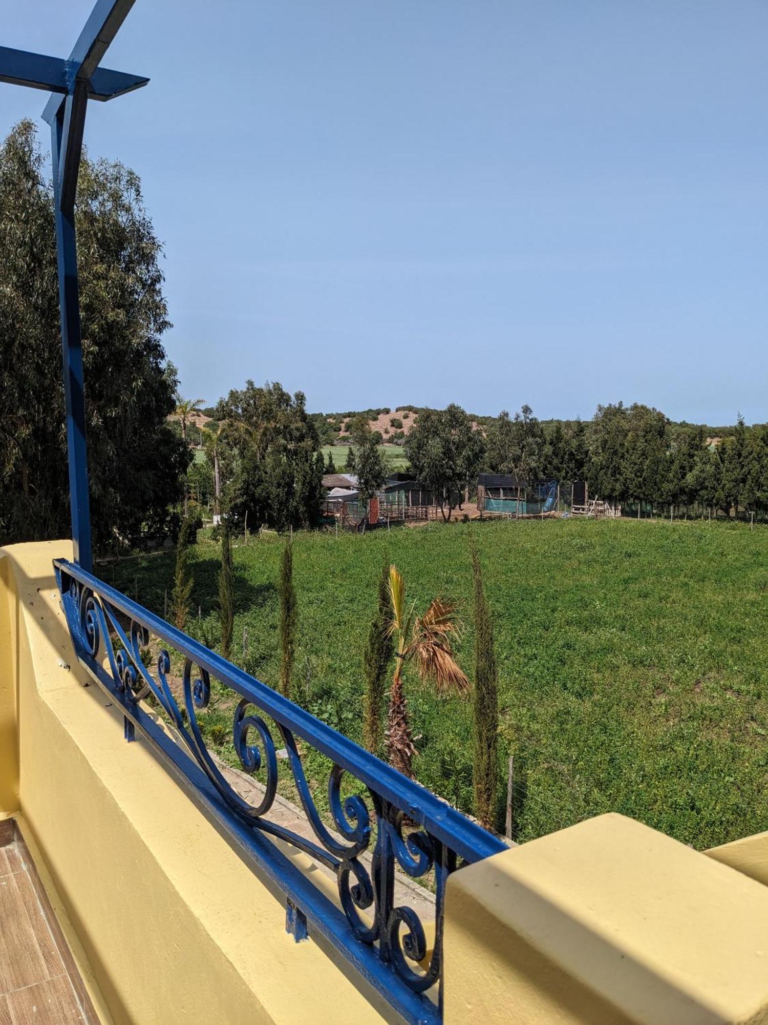 Mesdunes أزمور المظهر الخارجي الصورة