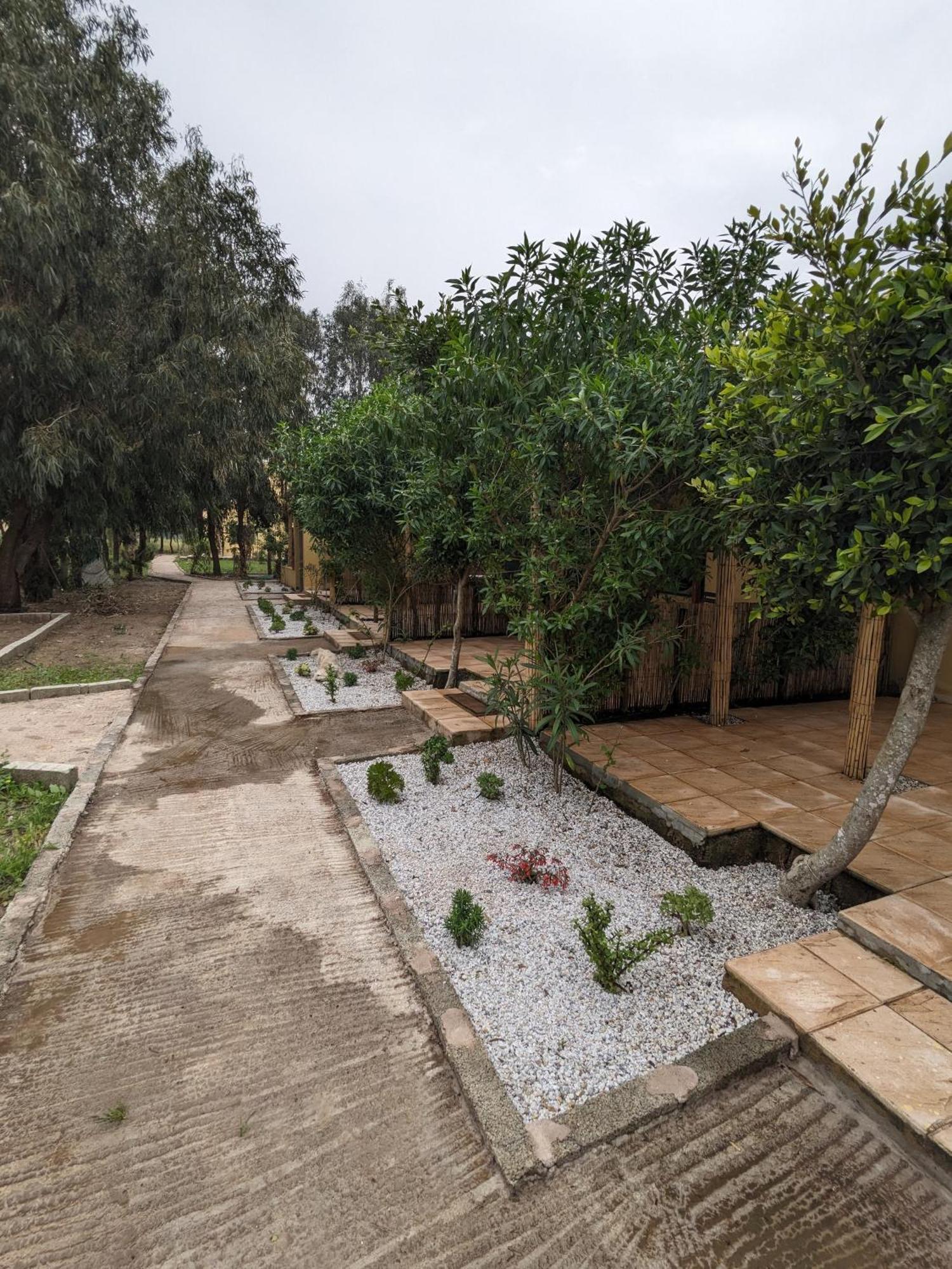Mesdunes أزمور المظهر الخارجي الصورة