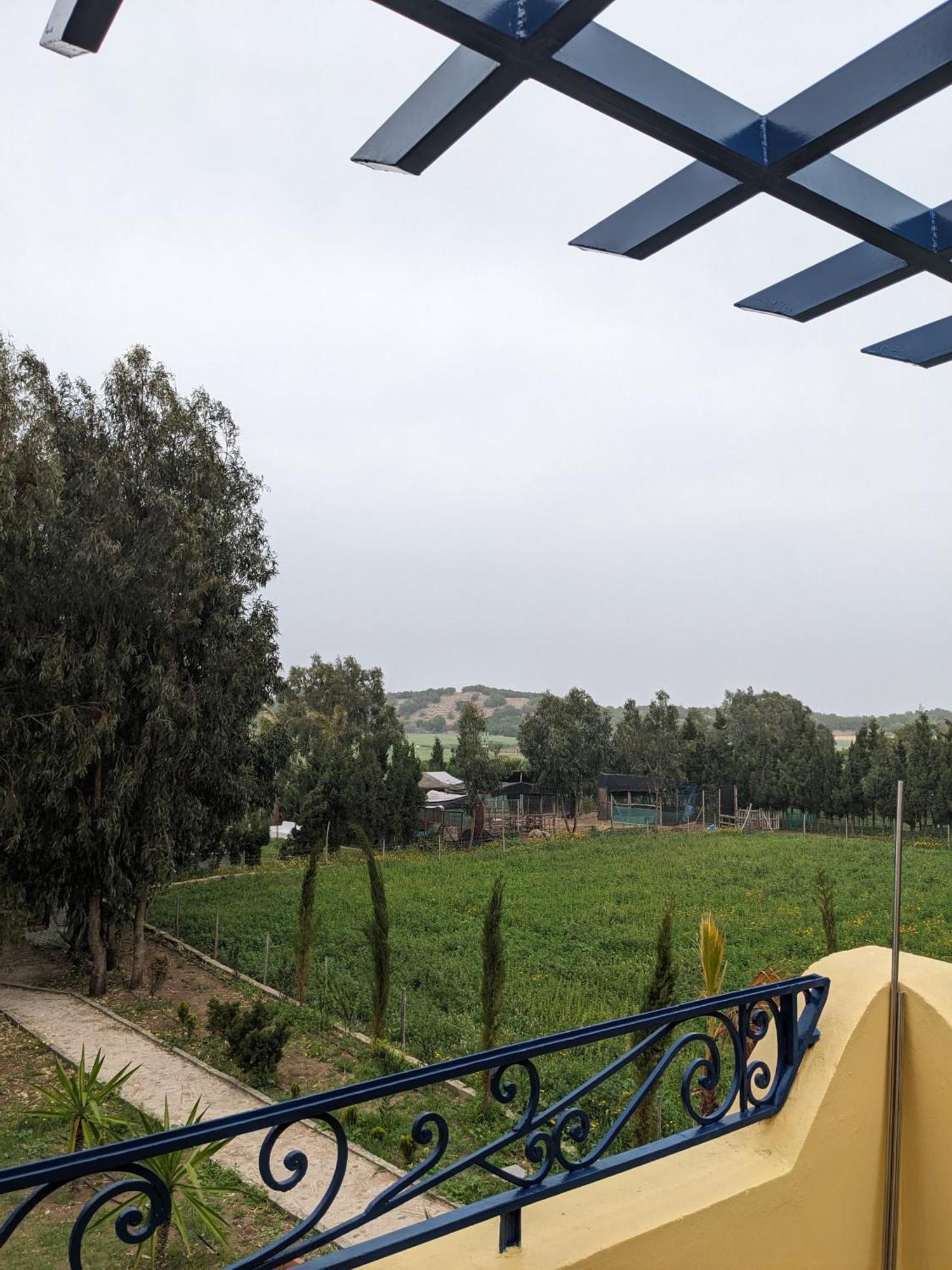 Mesdunes أزمور المظهر الخارجي الصورة