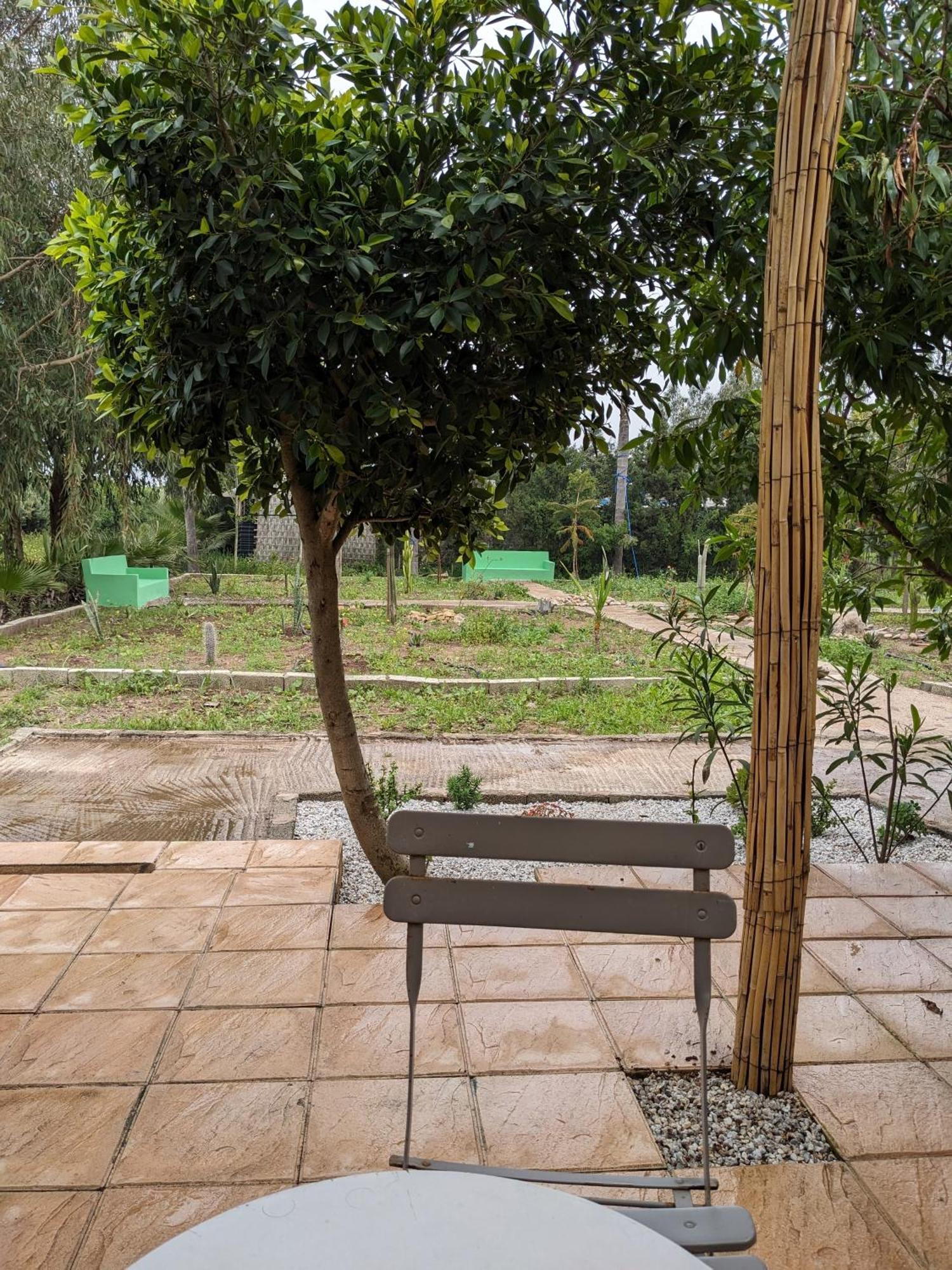 Mesdunes أزمور المظهر الخارجي الصورة